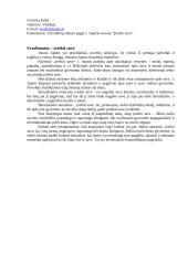 Svarbiausia – įveikti save