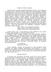 Vytautas Mačernis – klausiantis poetas (pagal sonetus) 2 puslapis