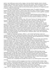 Čiurlionio gyvenimas ir kūryba 2 puslapis