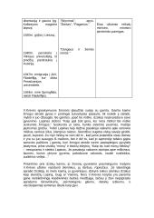 Vinco Krėvės Mickevičiaus asmenybė ir kūryba 2 puslapis