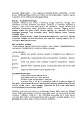 Sveikatos mokymo koncepcija 5 puslapis