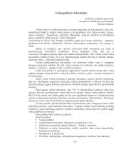 Sveikos gyvensenos pagrindų skiepijimas darželyje 15 puslapis