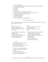 Sveikos gyvensenos pagrindų skiepijimas darželyje 16 puslapis