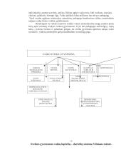 Sveikos gyvensenos pagrindų skiepijimas darželyje 5 puslapis