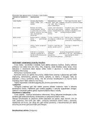 Bendravimas slaugoje 4 puslapis