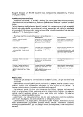 Bendravimas slaugoje 6 puslapis