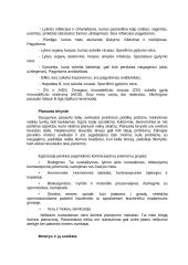 Tėvystė ir motinystė 3 puslapis