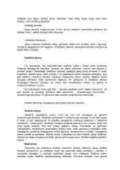 Tėvystė ir motinystė 9 puslapis