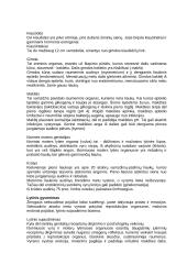 Vyro ir moters reprodukcija 2 puslapis