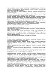 Vyro ir moters reprodukcija 7 puslapis