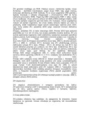 AIDS liga ir ŽIV virusas 2 puslapis