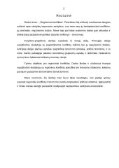 Regioniniai konfliktai 2 puslapis