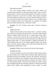 Regioniniai konfliktai 18 puslapis