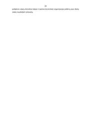 Regioniniai konfliktai 20 puslapis