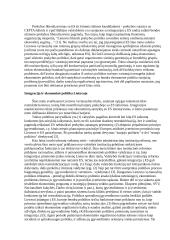 Integracija į Europos Sąjungą 3 puslapis