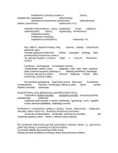 Apie globalizaciją 3 puslapis