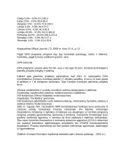 ISPA programa 3 puslapis