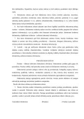 Dokumento rengimo ir forminimo taisyklės 3 puslapis