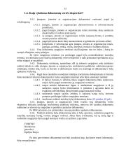 Raštvedyba ir duomenų apdorojimas 13 puslapis