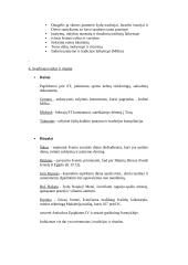 Budizmas ir Judaizmas 5 puslapis