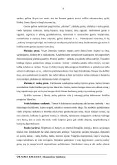 Simbolinės sąveikos teorijos 6 puslapis