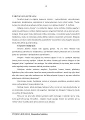 Simbolinės sąveikos teorijos 10 puslapis