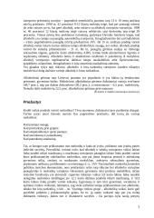 Narkotikai tarp jaunimo 7 puslapis