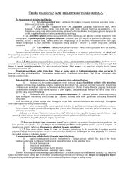 Prediktyvistinės Austino koncepcijos kritika teisėje 2 puslapis