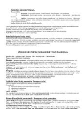 Prediktyvistinės Austino koncepcijos kritika teisėje 12 puslapis