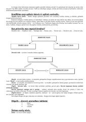 Prediktyvistinės Austino koncepcijos kritika teisėje 16 puslapis