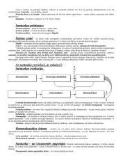 Prediktyvistinės Austino koncepcijos kritika teisėje 17 puslapis