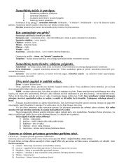 Prediktyvistinės Austino koncepcijos kritika teisėje 18 puslapis