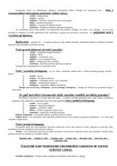 Prediktyvistinės Austino koncepcijos kritika teisėje 20 puslapis