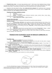 Prediktyvistinės Austino koncepcijos kritika teisėje 3 puslapis