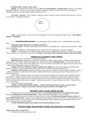 Prediktyvistinės Austino koncepcijos kritika teisėje 4 puslapis