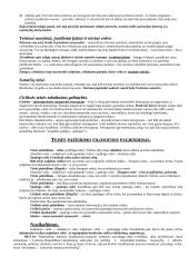 Prediktyvistinės Austino koncepcijos kritika teisėje 8 puslapis