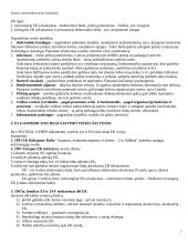 Elektroninė komercija ir jos reguliavimas 2 puslapis