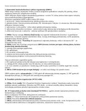 Elektroninė komercija ir jos reguliavimas 4 puslapis