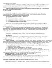 Elektroninė komercija ir jos reguliavimas 9 puslapis