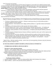 Elektroninė komercija ir jos reguliavimas 10 puslapis