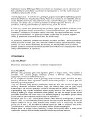 Gyventojų pajamų mokesčio įstatymas 17 puslapis