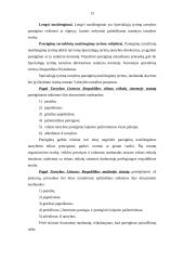 Tarnybinių nuobaudų ir materialinės atsakomybės taikymo procesas 13 puslapis