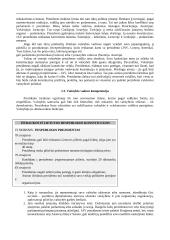 Vykdomosios valdžios institucijos 2 puslapis