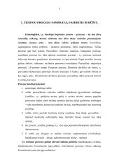 Administracinio proceso samprata bei rūšys  3 puslapis