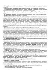 Plati darbo teisės teorija 13 puslapis