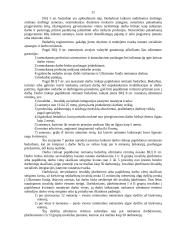 Teisė į darbą 11 puslapis