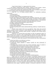 Teisė į darbą 3 puslapis