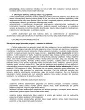 Civilinės atsakomybės teorija 11 puslapis