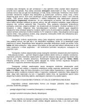 Civilinės atsakomybės teorija 14 puslapis