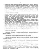 Civilinės atsakomybės teorija 17 puslapis